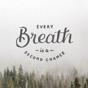 Heh Y'all Having a Huge Bundle Sale!!